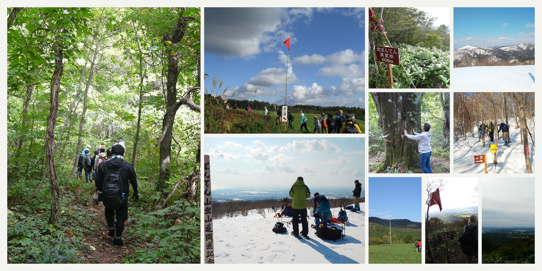 ぼんてん山4km登山コースの風景