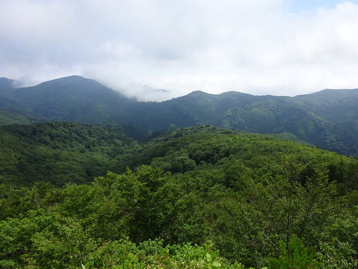 夏のぼんてん山
